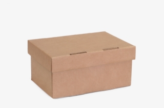 Segia Box 25x20x12 Cm - Swann Agencies