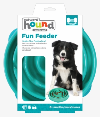 Dog Bowl Png
