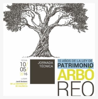 Arbol - Statute