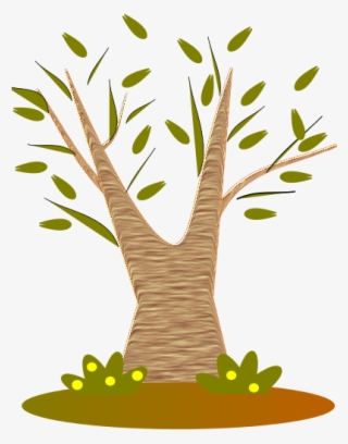 Tree No Leaves Png