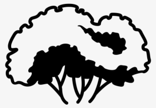 Pre Construction Consulting For Tree Protection Zones - Silhouette