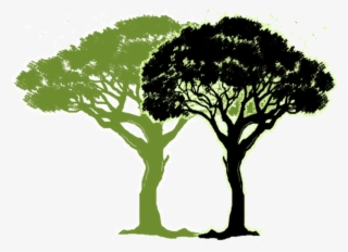 Links & Resources - Tree Of Life