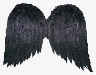 Фотки Black Angel Costume, Black Costume, Adult Halloween, - Angel Wings