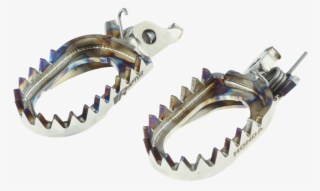 Gear