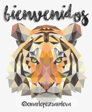 Curiosidades De Gun N - Adult Coloring Book: Stress Relieving Animal Designs: