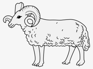 Details, Png - Roll Of Arms