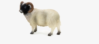 Animal Planet Black Faced Sheep (ram)