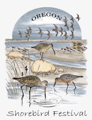 Original 2018 Shorebird Festival T-shirt Design By - Oregon