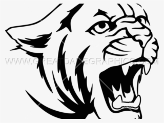 Roar Clipart Cougar - Cougar Drawing