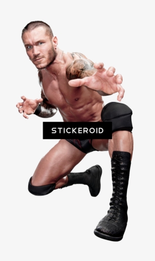 Randy Orton Wwe - Birthday Party Wwe Beverage Napkins