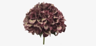 Hydrangea Ruby Red Classic - Bouquet