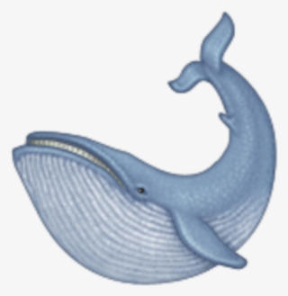 Emoji Whale Clipart Cetacea Emoji Clip Art - 900x900 PNG Download - PNGkit