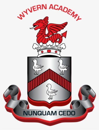 Wyvern Academy Darlington