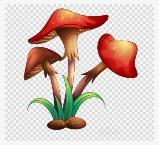 Different Types Of Plants Clipart Plants Plant Cell - Different Mushrooms