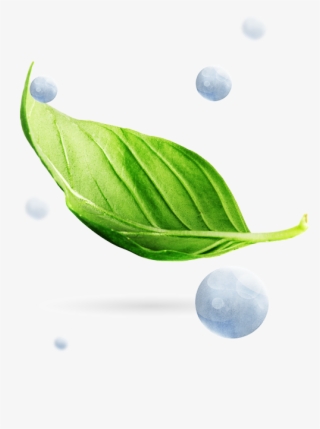 Mirai, Fuel Cell, Hydrogen, Plants - Fuel Cell