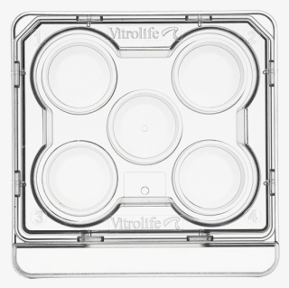 5-well Culture Dish - Vitrolife 5 Well Dish