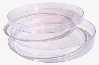 Labtech Disposables - Serveware