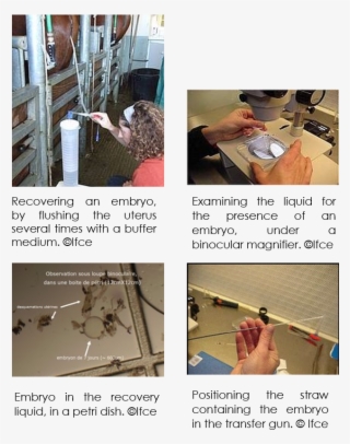 Technical Results Observed In The Field - Floor