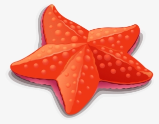 Starfish