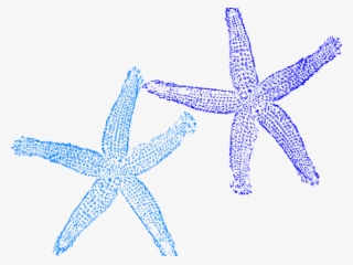 Blue Starfish Clip Art