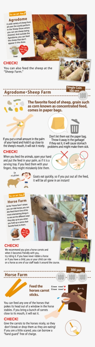 Mother Farm Tour - Livestock