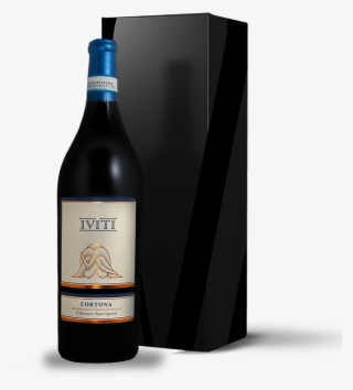 With The Terroir - Guinness