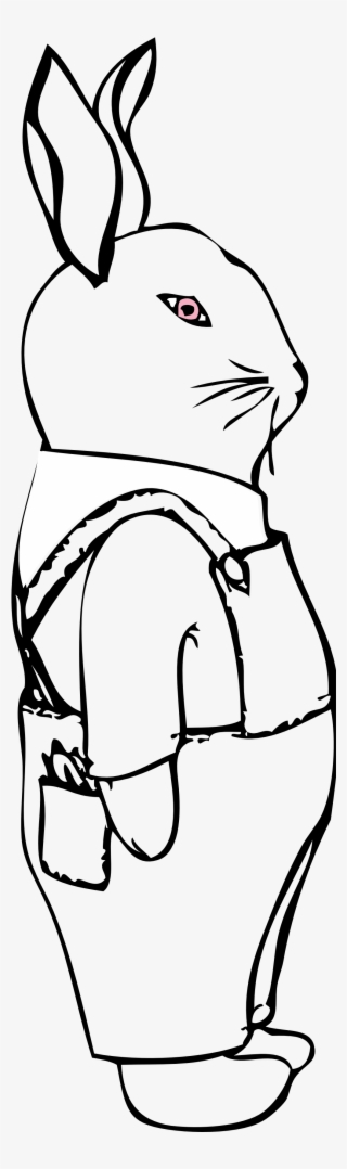 Bunny In Overalls Black White Line Art 999px 212 - Rabbit