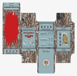 The Bear Within - Illustration