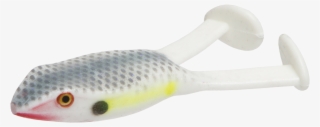 Introducing New Shad Bluegill Colors From Zoom Png - Toy