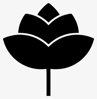 Png File - Illustration
