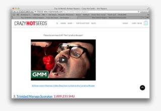 Https - //www - Crazyhotseeds - Com/top 10 Worlds Hottest - Multimedia Software