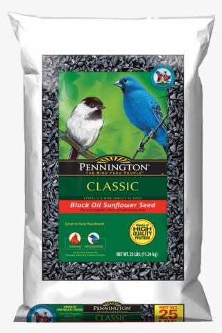 Pennington Wild Bird Feed 10 Lb