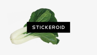 Bok Choy Food - Chard