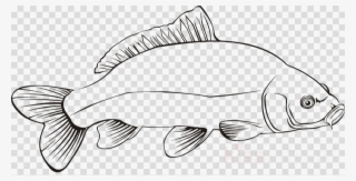 Carp Outline Clipart Fish Koi Clip Art - Clip Art