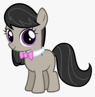 Vinyl Scratch Which Musician Filly Is Cutest - My Little Pony Octavia