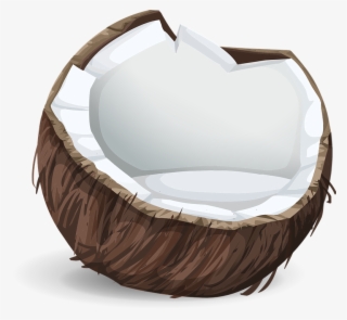 Coco Vector Png - Illustration Noix De Coco