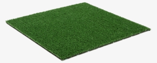 Spring Green - Lawn