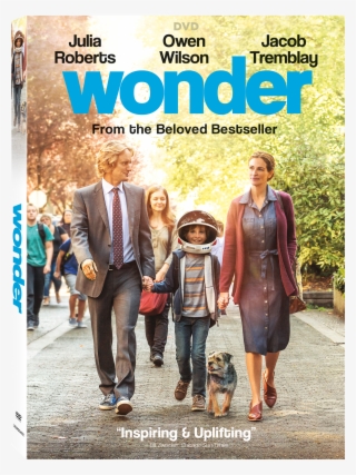 4k Box Art Download - Wonder Blu Ray