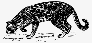 Ocelot Png