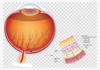 Wax Seal Transparent Background