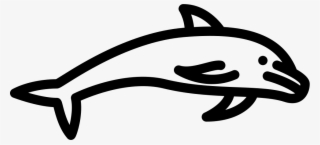 Dolphin Jumping Comments - Portable Network Graphics