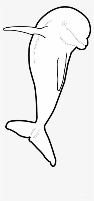 Dolphin Jumping Front Nmmp Dolphin Black White Line - Dolphin