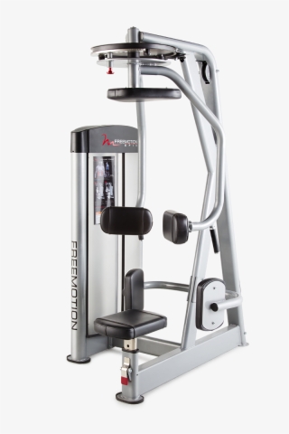 Lateral Torso F818 - Gym
