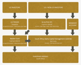 South Africa Alpha General Partner Has Appointed South - Diagram