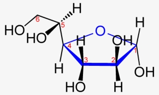 Blue D Altrose V