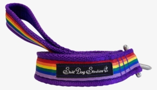 Purple Rainbow Ribbon Dog Lead - Dog