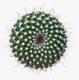 Silver Arrows - Design