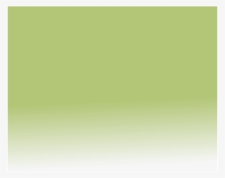 Companie Of The Silver Arrow - Colorfulness