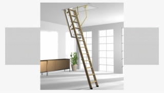 The Profiline F30/f30 Plus /f60 - Roto Bodentreppe Cadet 3 Iso-rc Holz 120 X 60 Cm