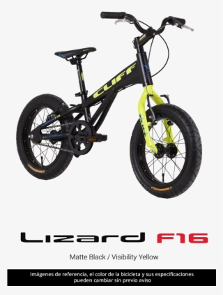 Lizard F16 - General Dynamics F-16 Fighting Falcon